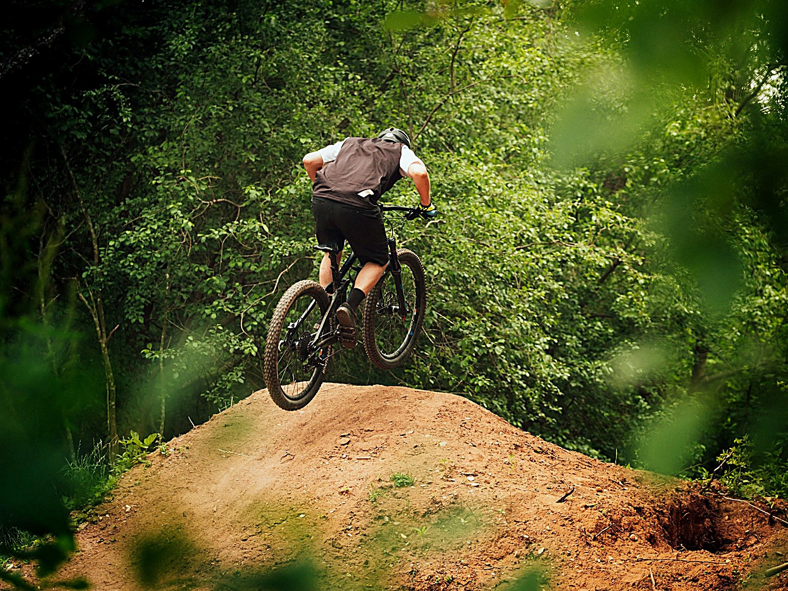 Mountain biker on forest singletrack