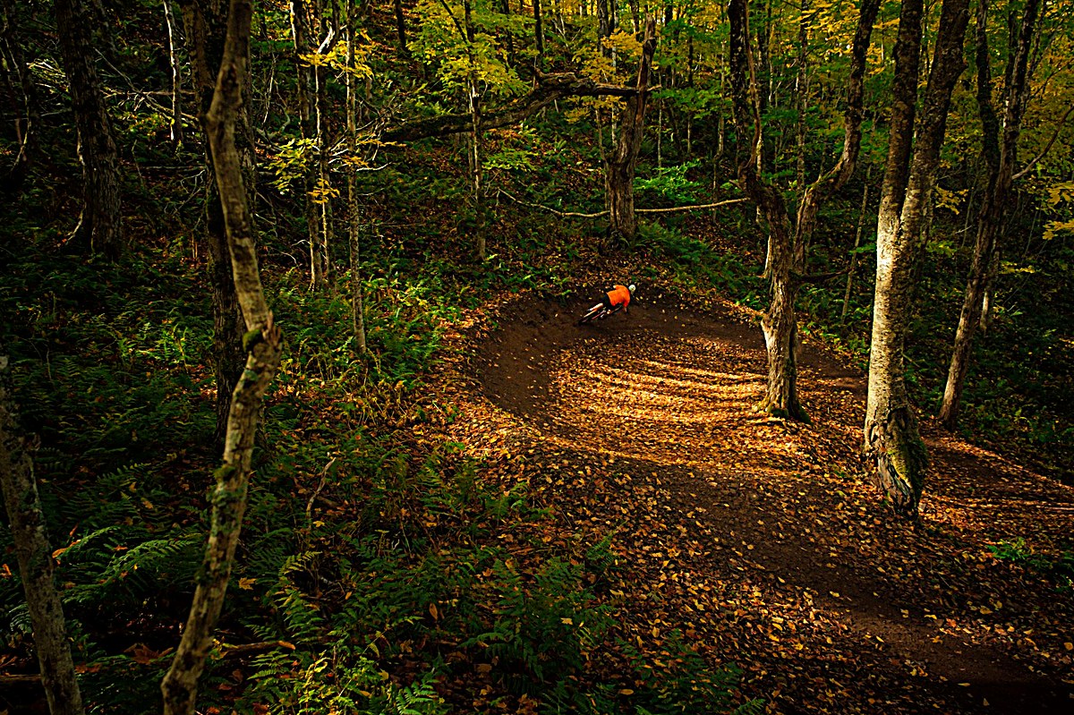Community flow trails