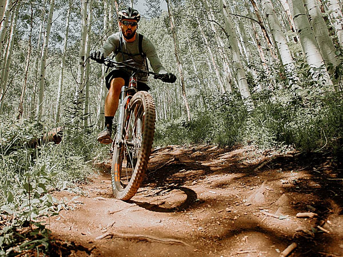 Mountain bike trails