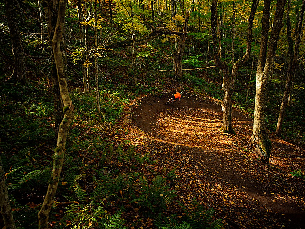 Walking tracks